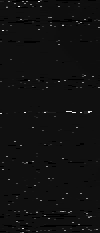 MTVZA-13.png